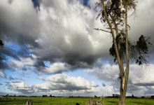 比亚迪5名高管、32名核心人员增持5233万元:对公司价值认可