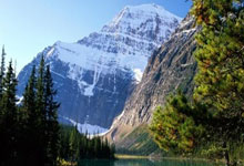 美团三季报:营收955亿元 核心本地商业经营亏损141亿元