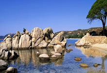 凯格精机总经理上任一个月 就因涉嫌危险驾驶被取保候审 去年年薪超百万