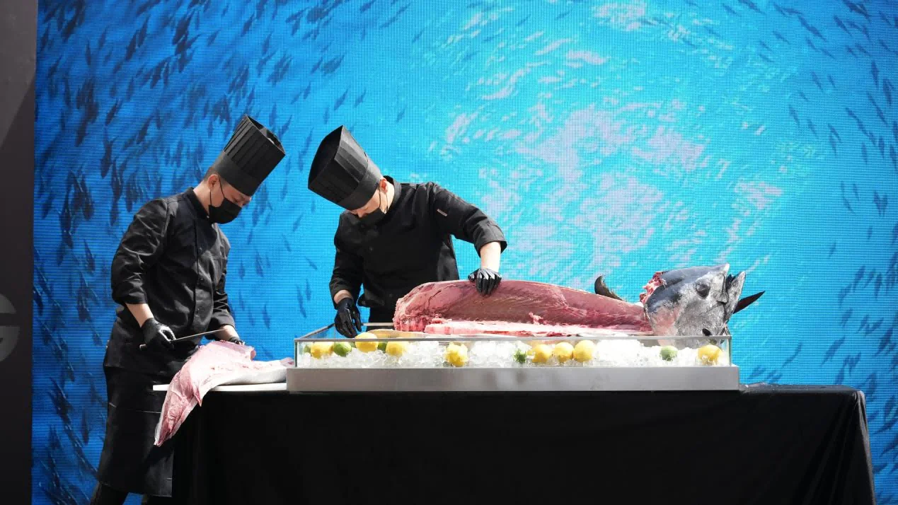 德国旭勒橱柜西安旗舰店盛大开业 蓝鳍金枪鱼开鱼秀演绎匠心与美学