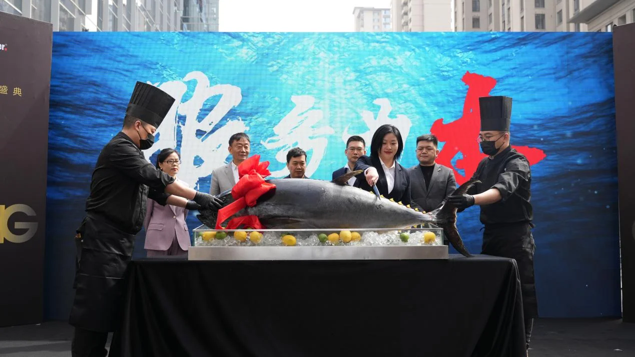 德国旭勒橱柜西安旗舰店盛大开业 蓝鳍金枪鱼开鱼秀演绎匠心与美学