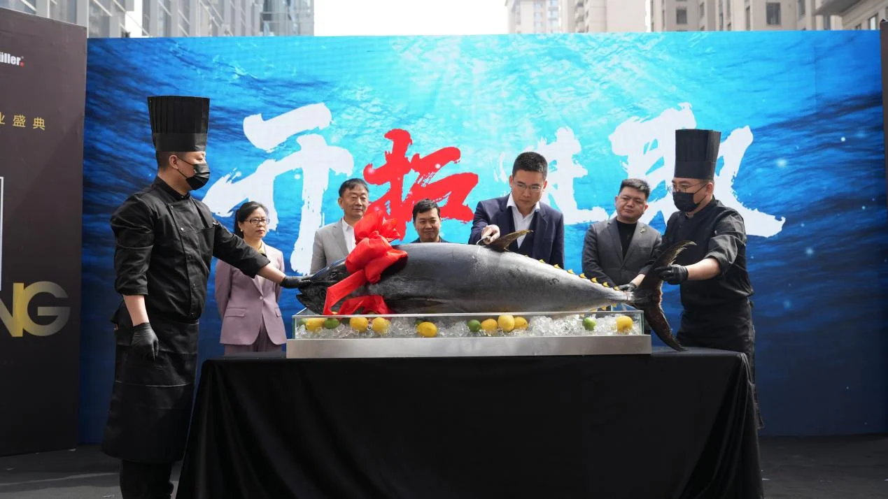 德国旭勒橱柜西安旗舰店盛大开业 蓝鳍金枪鱼开鱼秀演绎匠心与美学