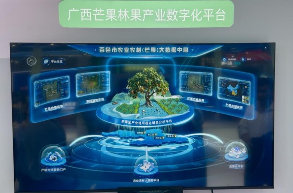 联通数字中国：上天入地皆有数，融合绽放智能花